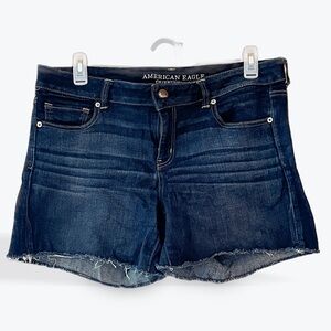 American Eagle Stretch denim shorts